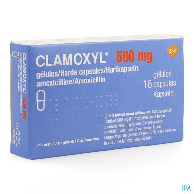 Clamoxyl Caps 16 X 500mg