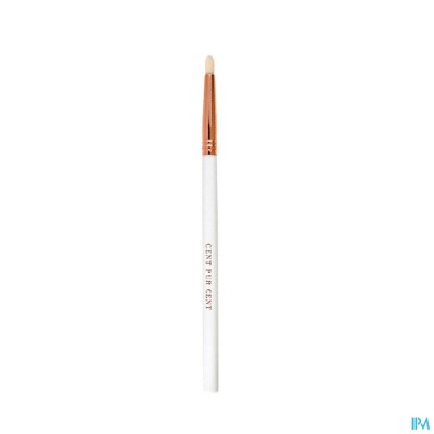 Cent Pur Cent Pointed Brush